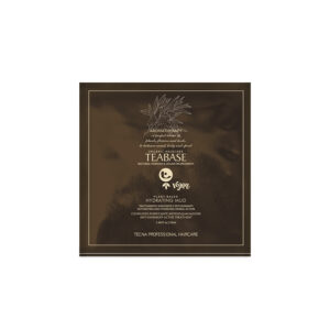 TEABASE INVIGORATING  MUD 50 ml